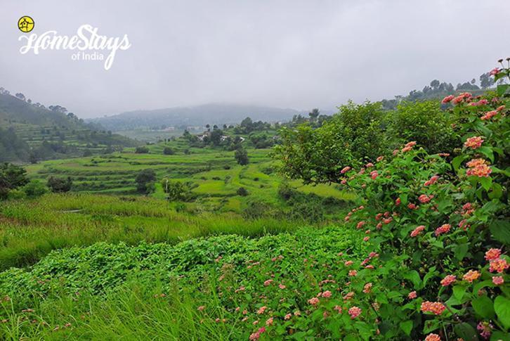 Dwarahat Village Farmstay- Babaji'S Cave Eksteriør billede