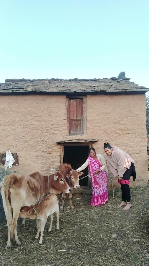 Dwarahat Village Farmstay- Babaji'S Cave Eksteriør billede